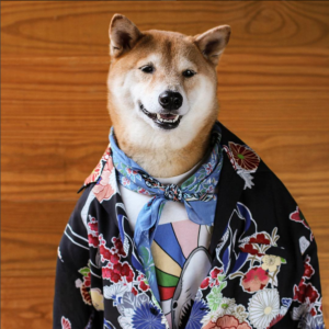 mensweardog