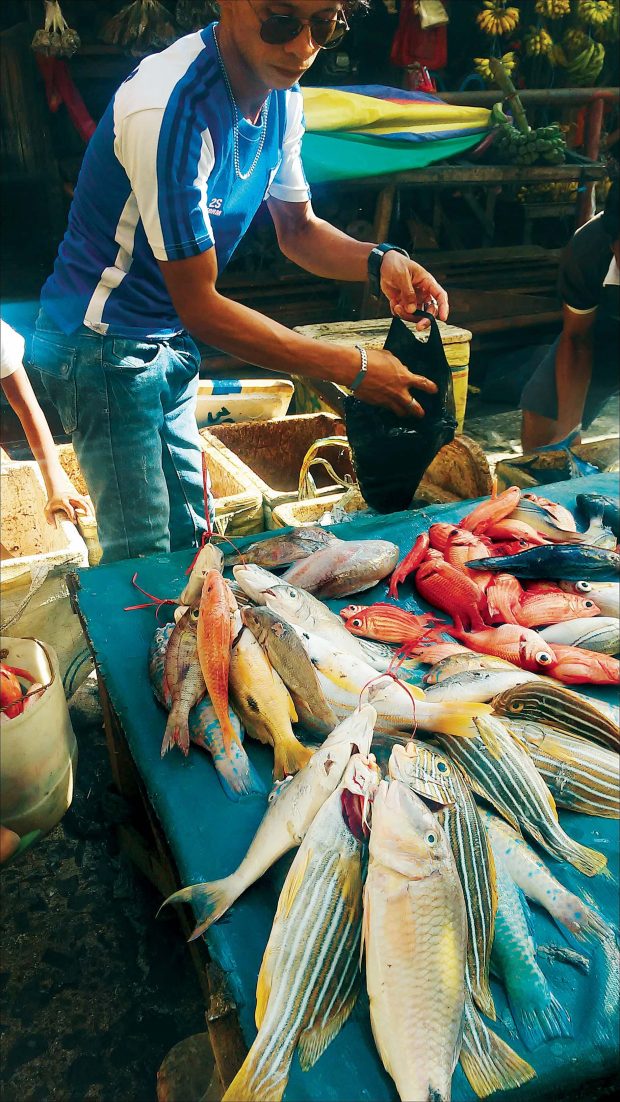 A variety of fish on sale at the wet market