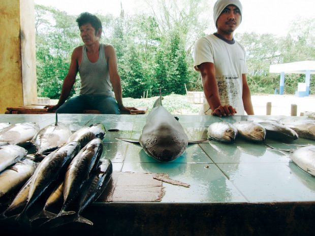 At the Panglima Sugala wet market, a small reef shark goes for sale for P150.