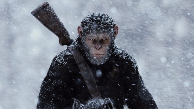apes