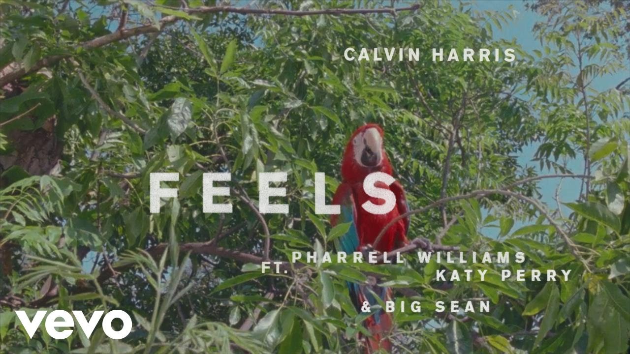 Feeling on sale calvin harris